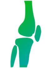 Bones, Nerves and Muscules